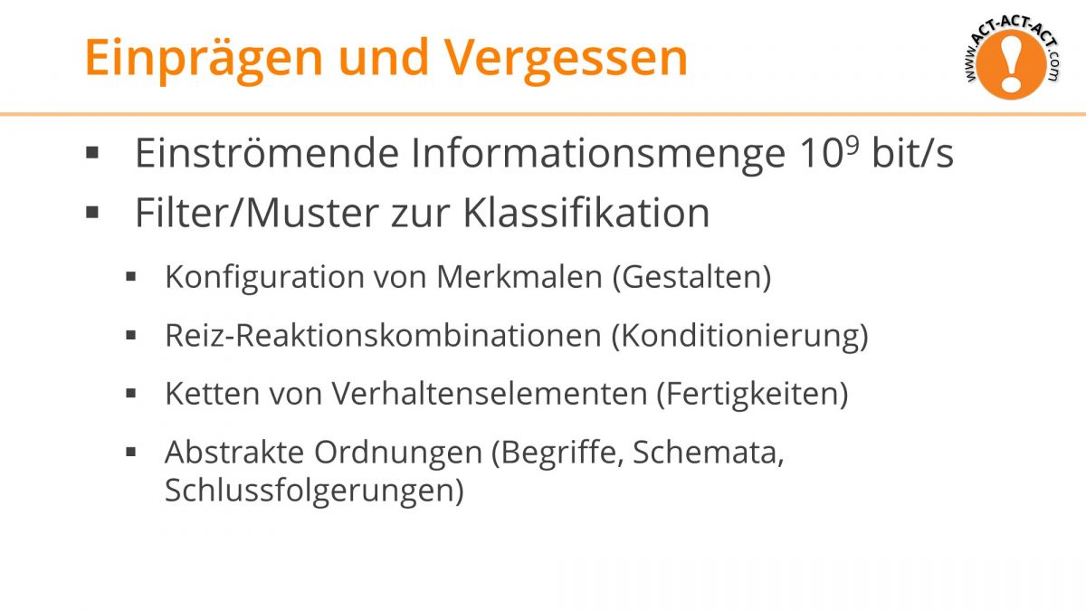 Psychologie Aufnahmetest Kapitel 7: Einprägen und Vergessen