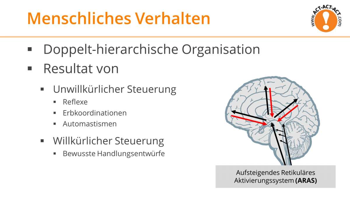 Psychologie Aufnahmetest Kapitel 6: Menschliches Verhalten