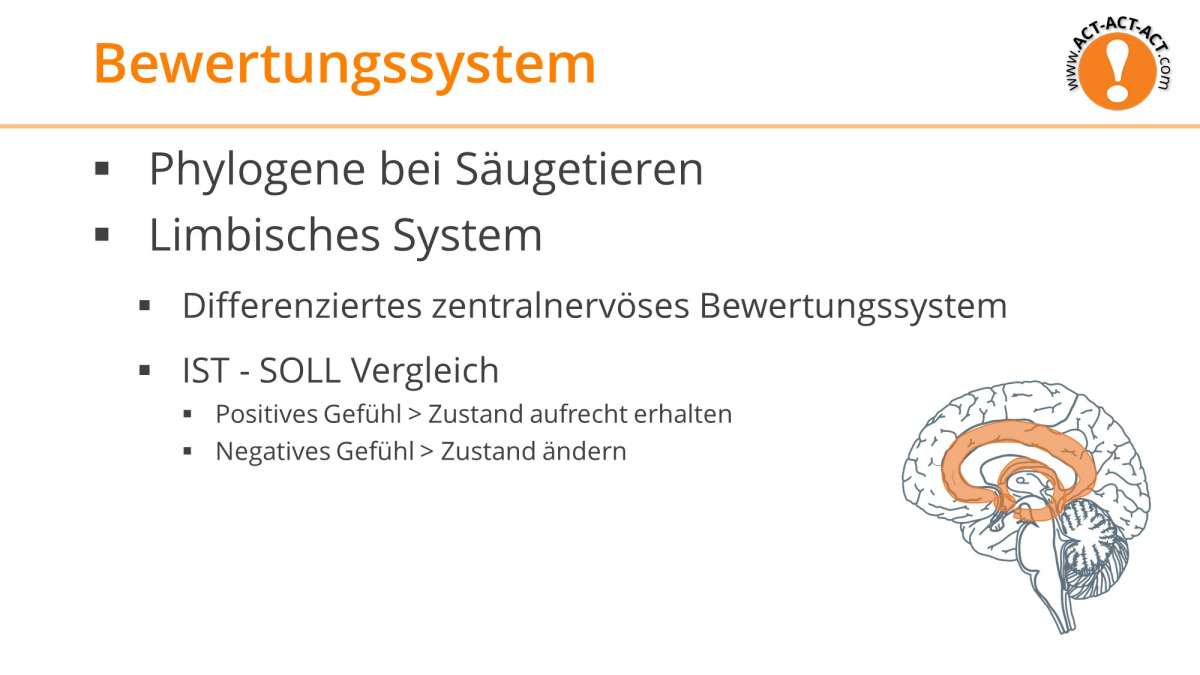 Psychologie Aufnahmetest Kapitel 6: Bewertungssystem