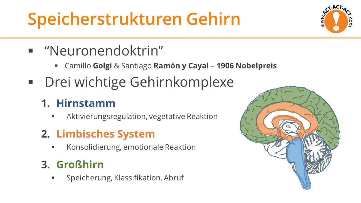 Psychologie Aufnahmetest Kapitel 6: Speicherstrukturen im Gehirn