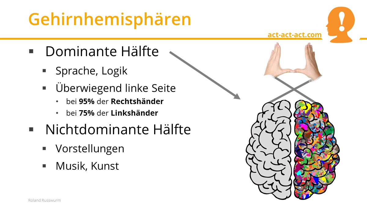 Gehirnhemisphären