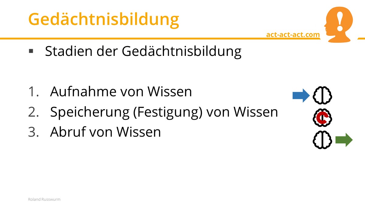 Gedächtnisbildung