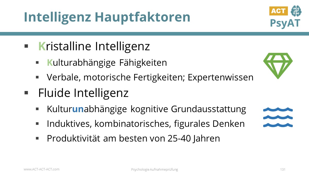 Intelligenz Hauptfaktoren