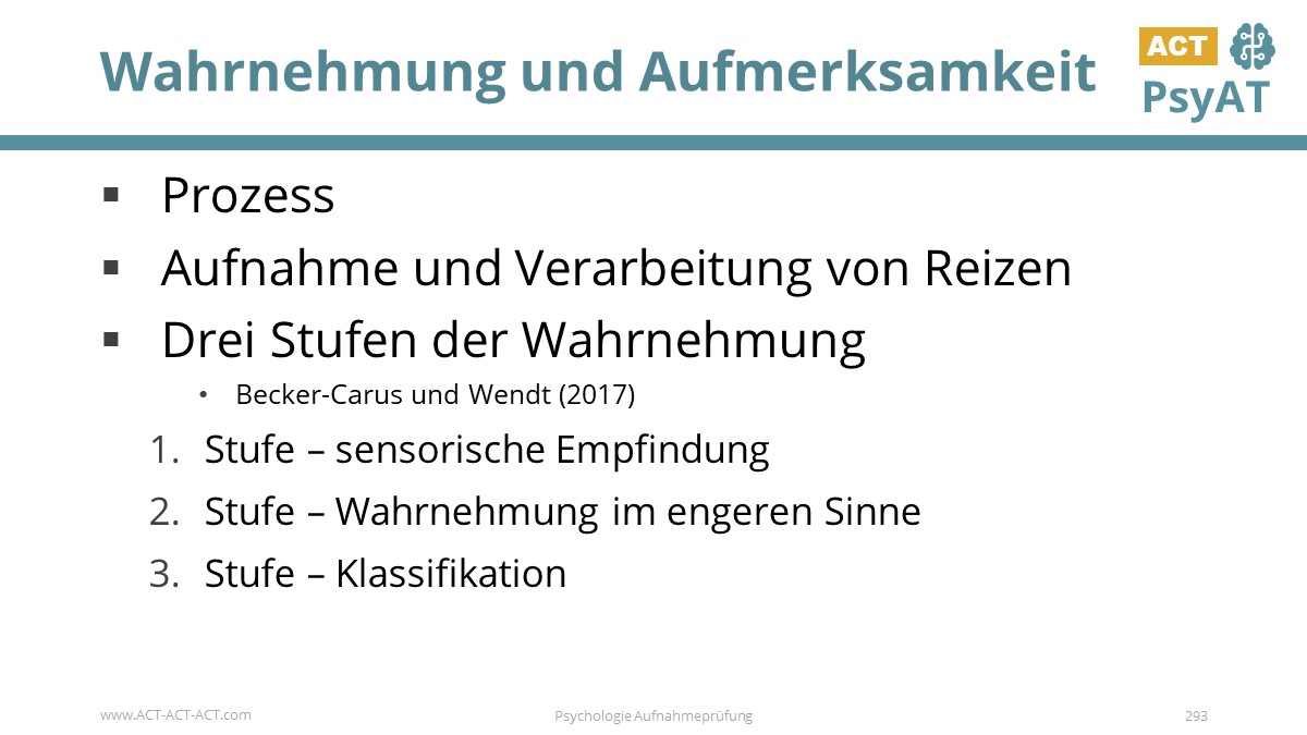 Wahrnehmung und Aufmerksamkeit